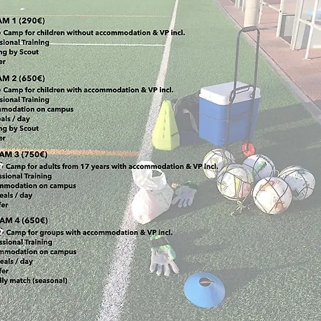 Successuni Fussball ️camp 旅馆